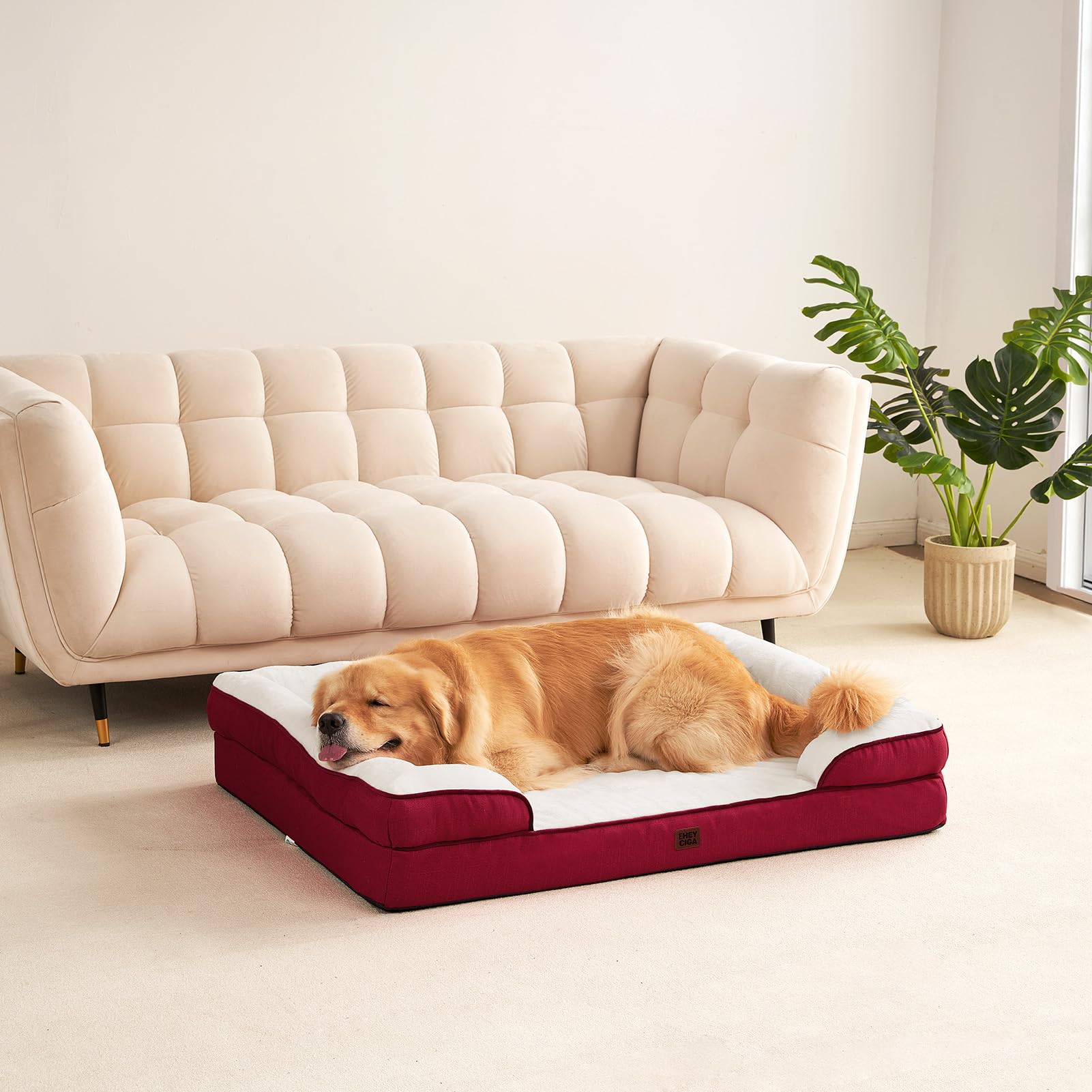 EHEYCIGA bed in use by an elderly dog—gentle support and cozy comfort