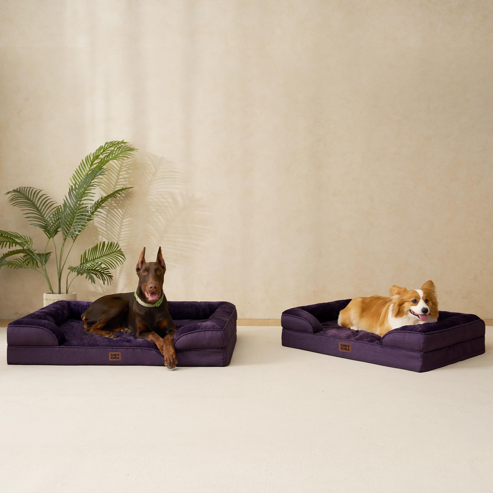 EHEYCIGA unpacked bed expansion image highlights 24- to 48-hour expansion.
