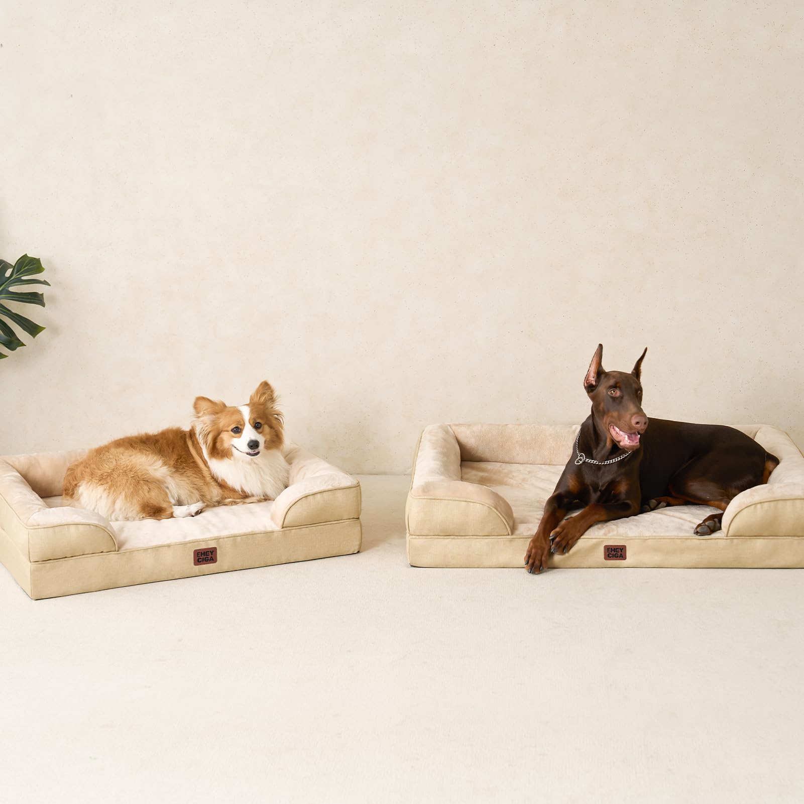 EHEYCIGA large-size options suit medium to extra-large breeds
