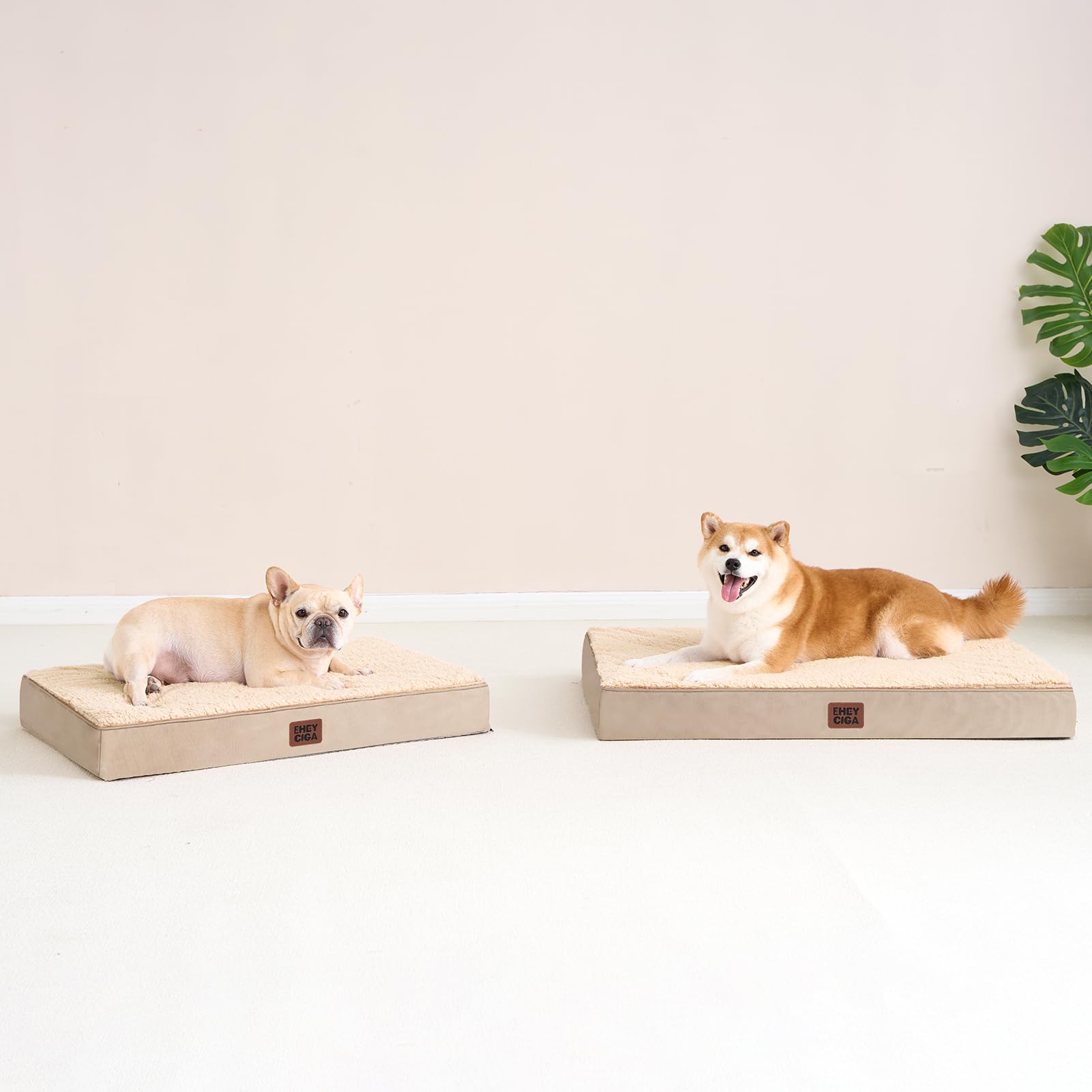 EHEYCIGA orthopedic XL dog bed assembled view shows full sleep surface