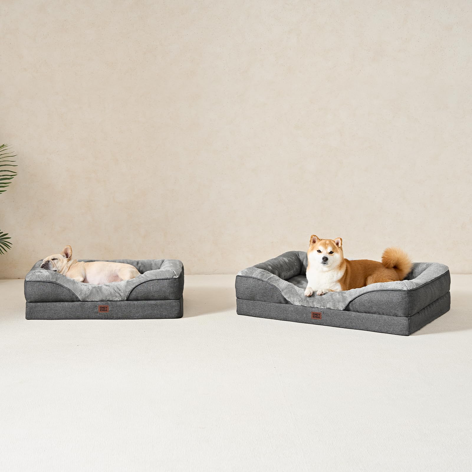 EHEYCIGA size variations illustrate suitability for medium to XL breeds.