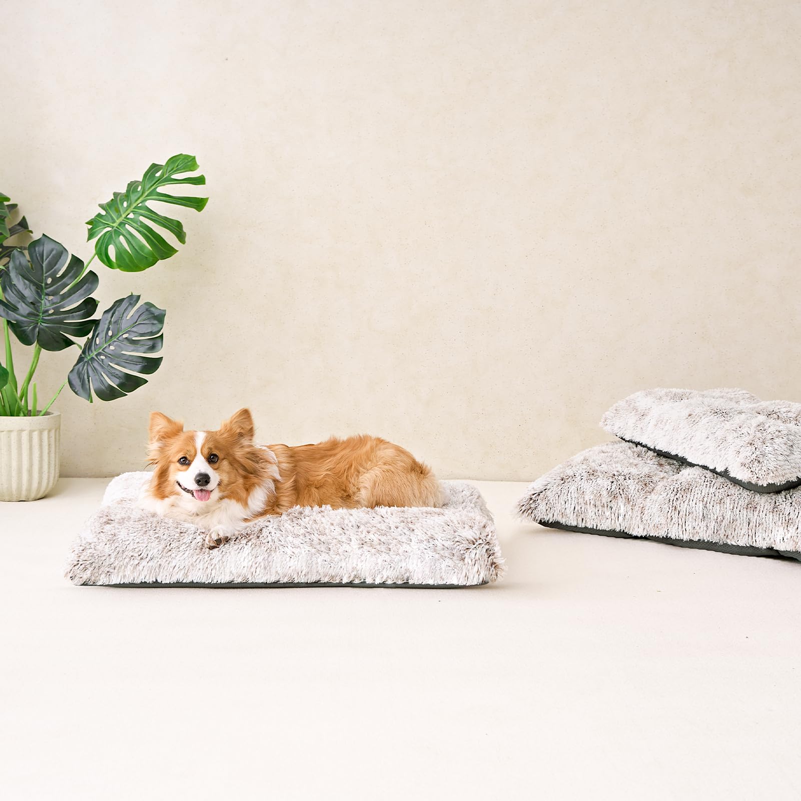 EHEYCIGA size-varied dog bed options help find the right fit for big breeds.