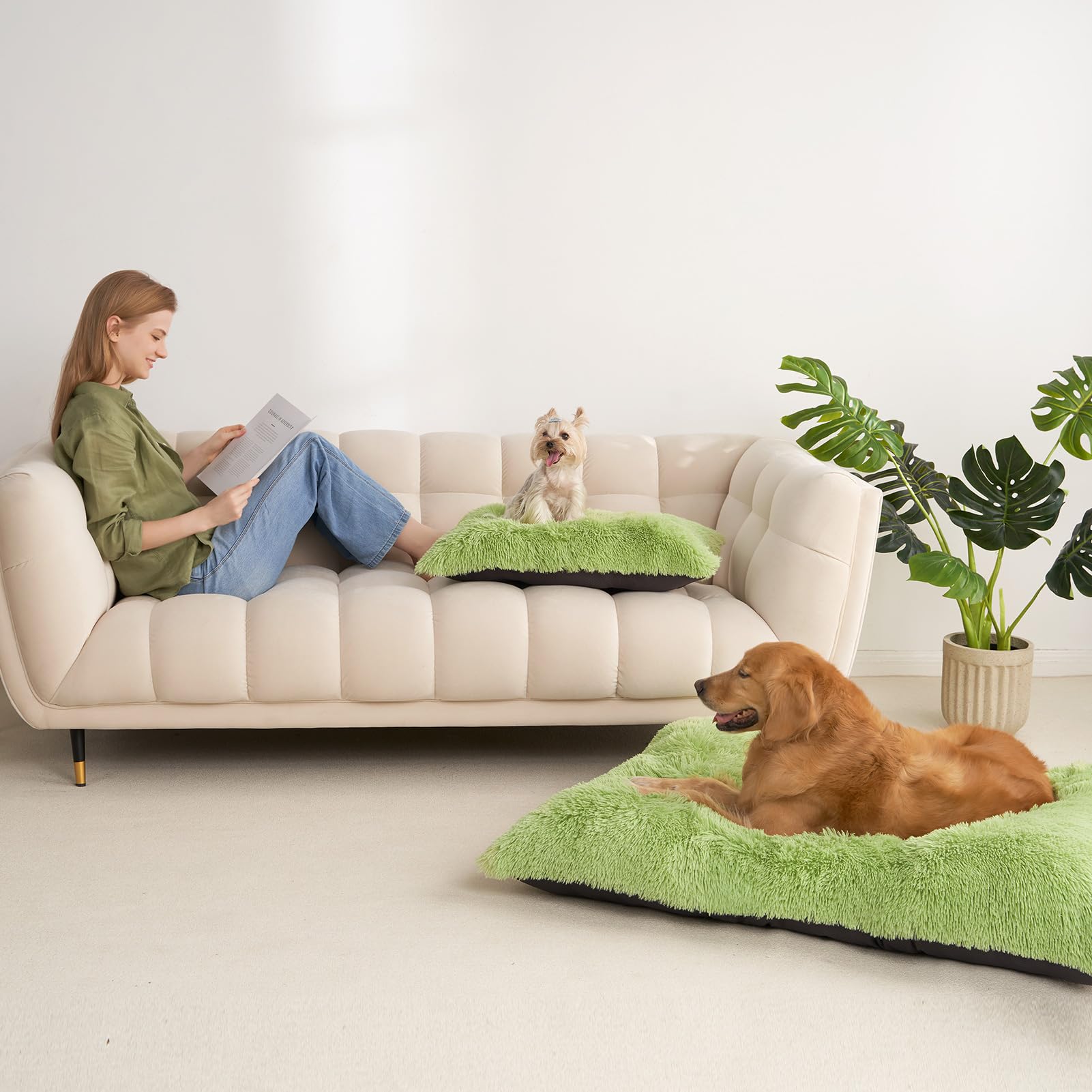 EHEYCIGA vacuum-pack expansion reveals full fluffy crate bed