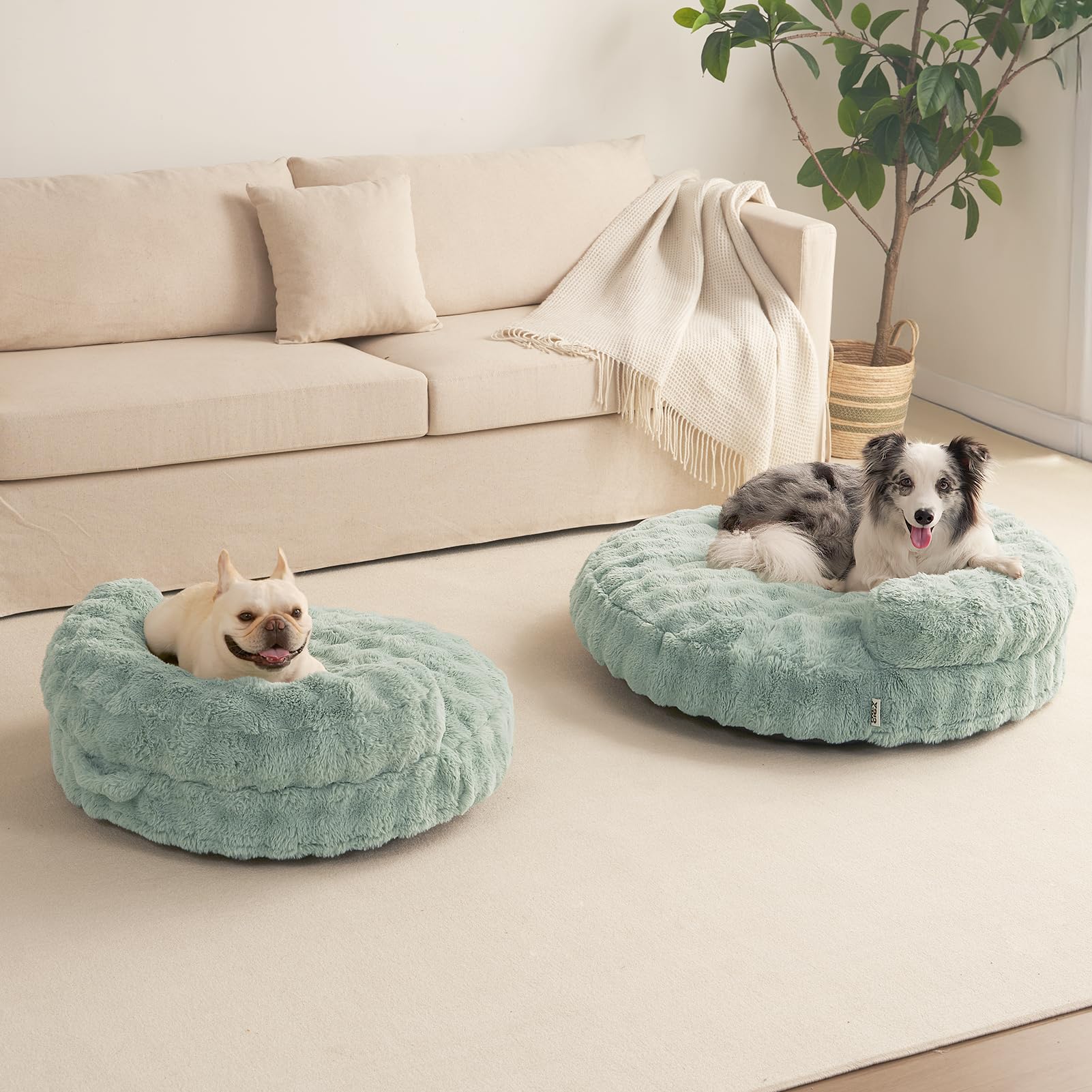 EHEYCIGA versatile pet bed suitable for dogs and cats in cozy rooms.