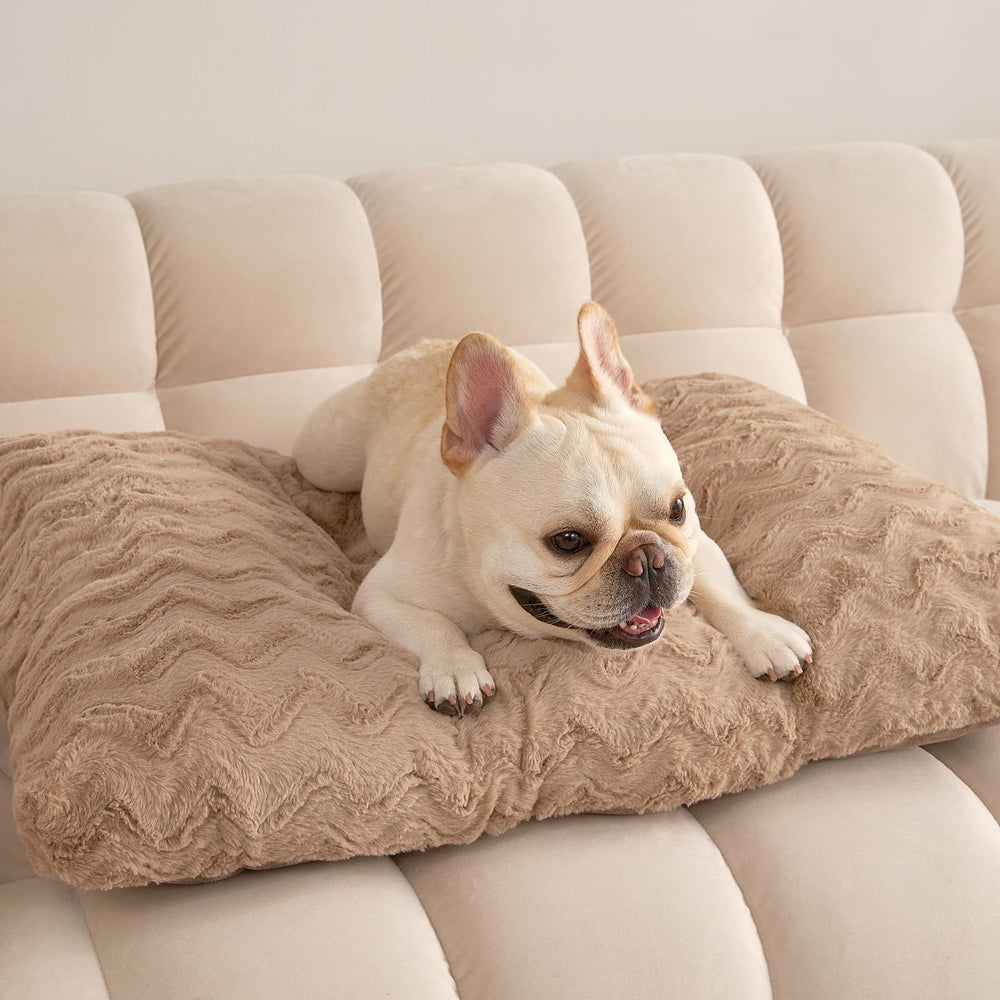 EHEYCIGA camel bed care instructions help maintain loft.