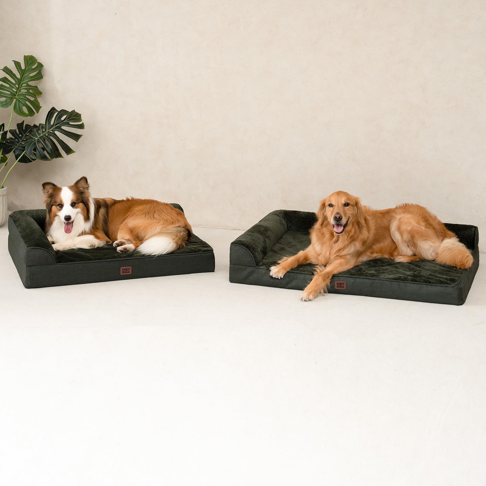 Dimensions 44x33x6 inches of EHEYCIGA memory foam dog bed