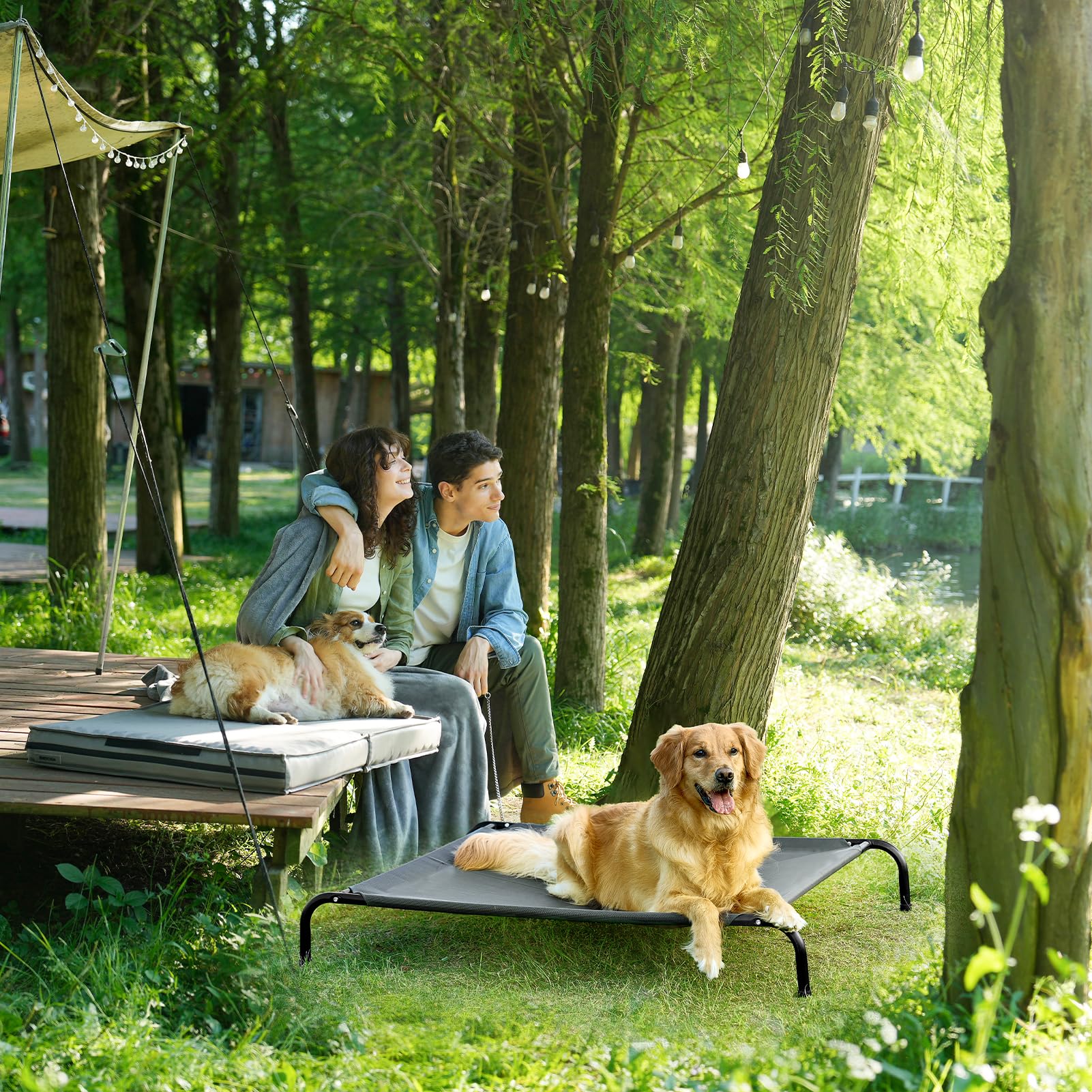 EHEYCIGA XXL 52x36 dimensions provide ample space for giant breeds.