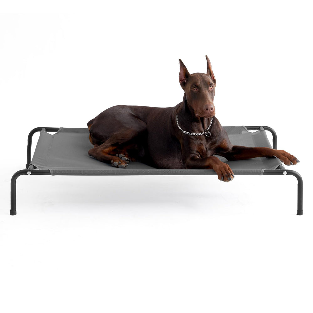 EHEYCIGA XXL elevated dog cot bed frame shows sturdy support for large dogs.