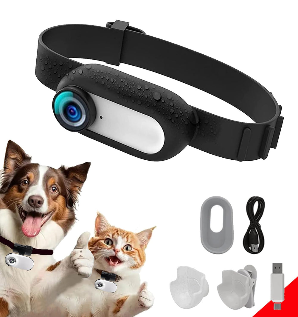 ehomful cat camera collar front view – HD video capture during playtime