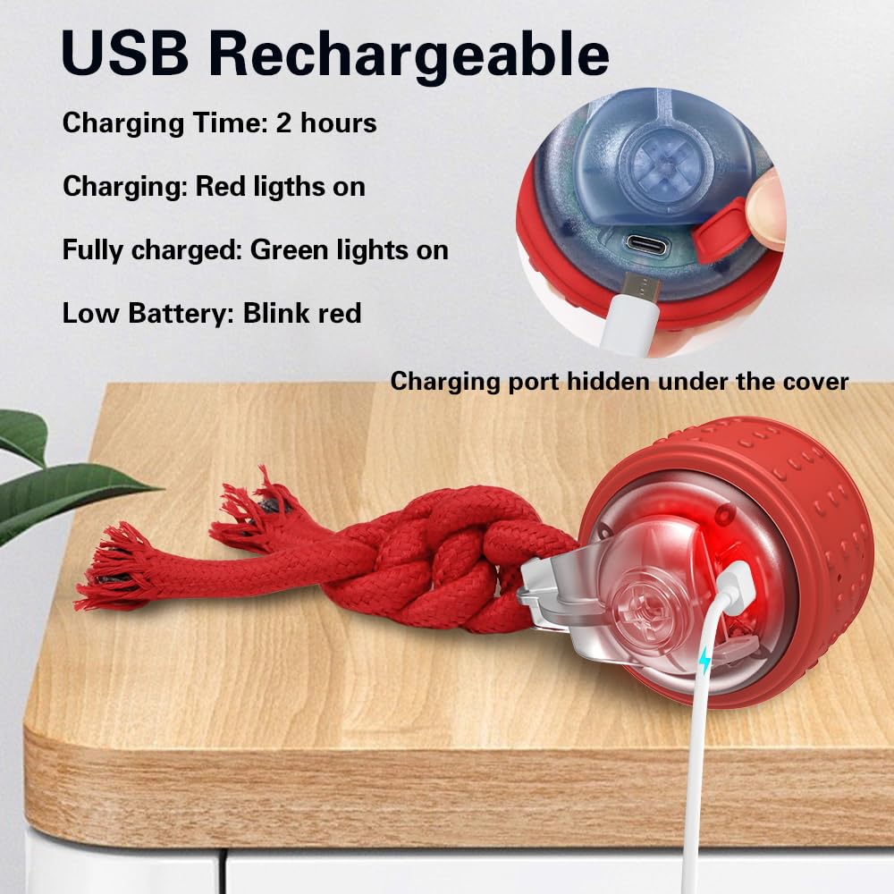 EHWZ Interactive Dogs Ball sized for small to medium dogs.