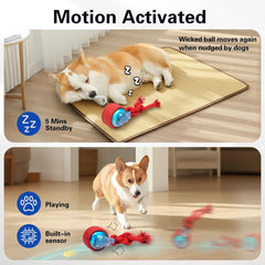 EHWZ Interactive Dogs Ball USB-C charge ready for long play sessions.