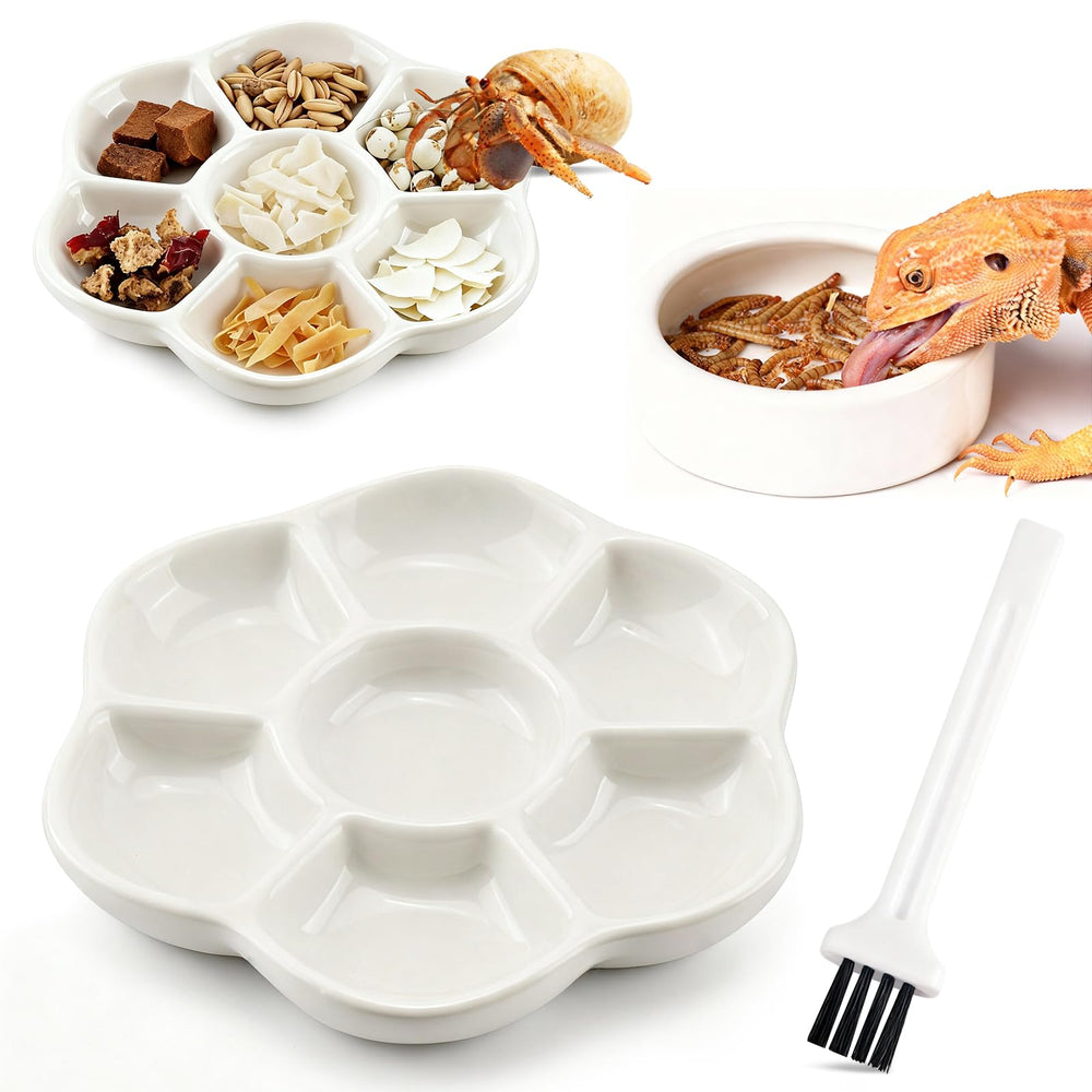 Eiito reptile food bowl with seven compartments for organized meals and easy sorting.