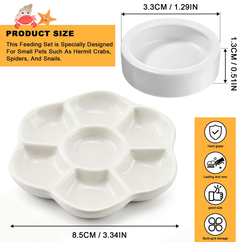 Eiito reptile food bowl ceramic material closeup showing a durable easy-clean surface.