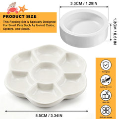 Eiito reptile food bowl ceramic material closeup showing a durable easy-clean surface.