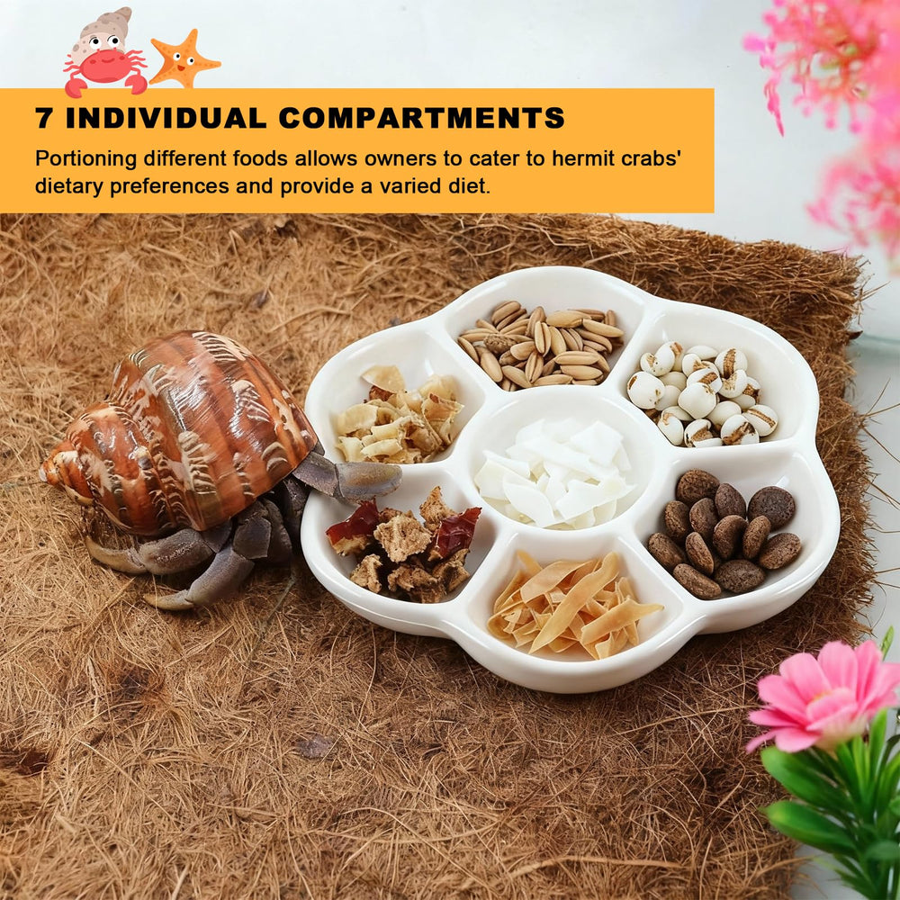 Eiito reptile food bowl stable polished base prevents tipping on any table or mat.