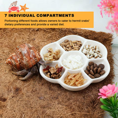 Eiito reptile food bowl stable polished base prevents tipping on any table or mat.