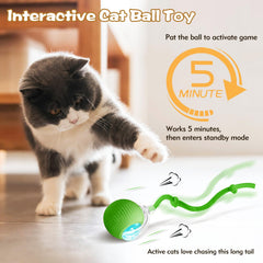 Eiruseed interactive cat ball green LED modes highlight varied play sessions.