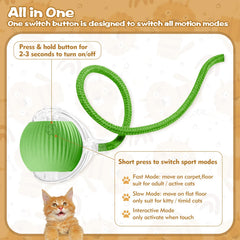 Eiruseed interactive cat ball green rolling action demonstrates exercise and chase fun.