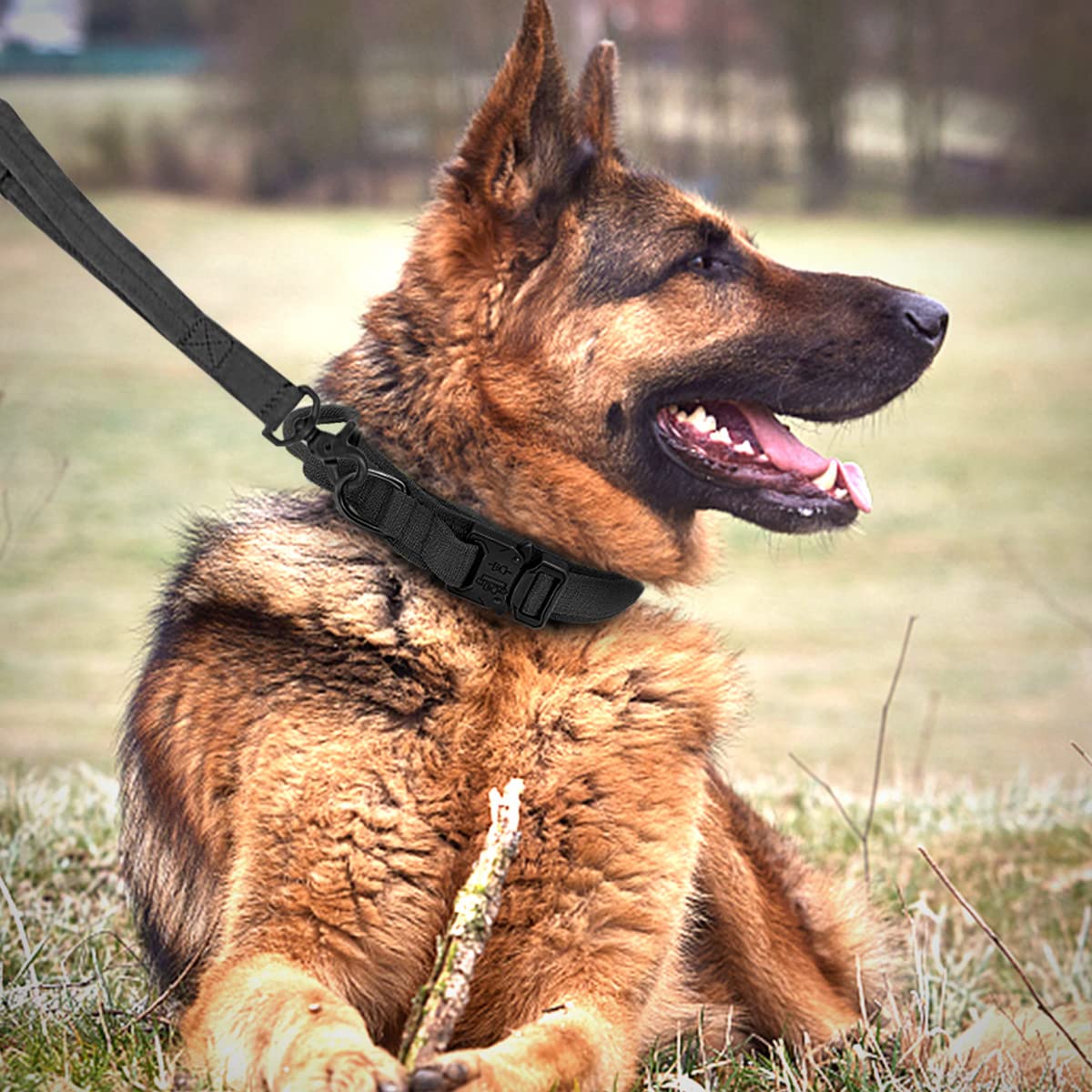Eitchen Tactical collar with durable buckle highlights double-security design