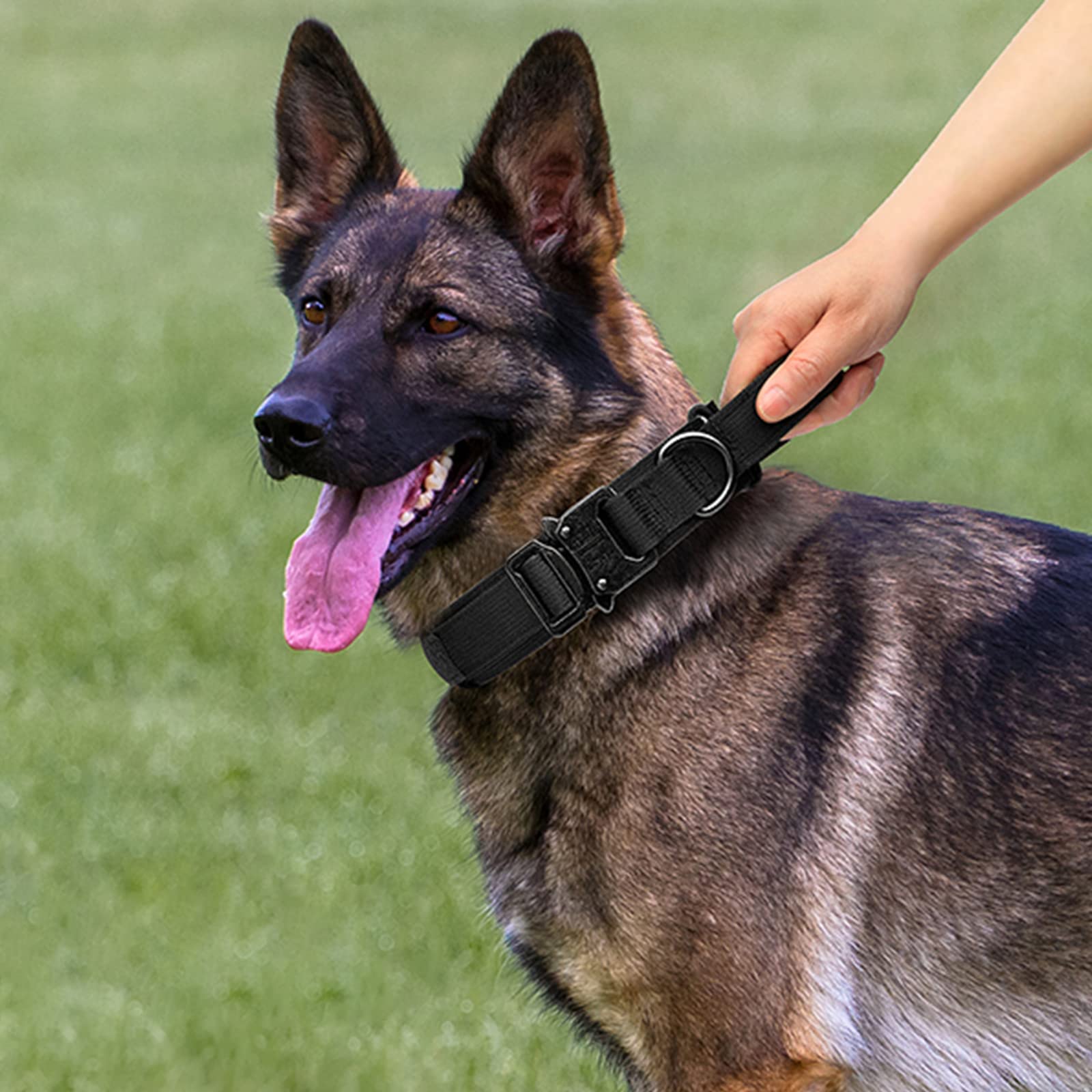 Eitchen Tactical collar handle detail demonstrates secure control during training