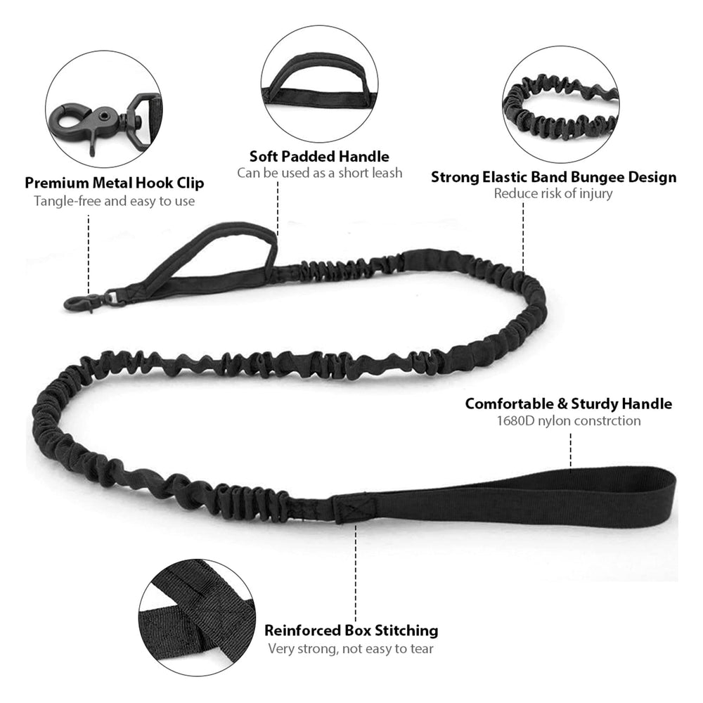 Eitchen Tactical dog wearing collar during walk shows comfortable everyday wear