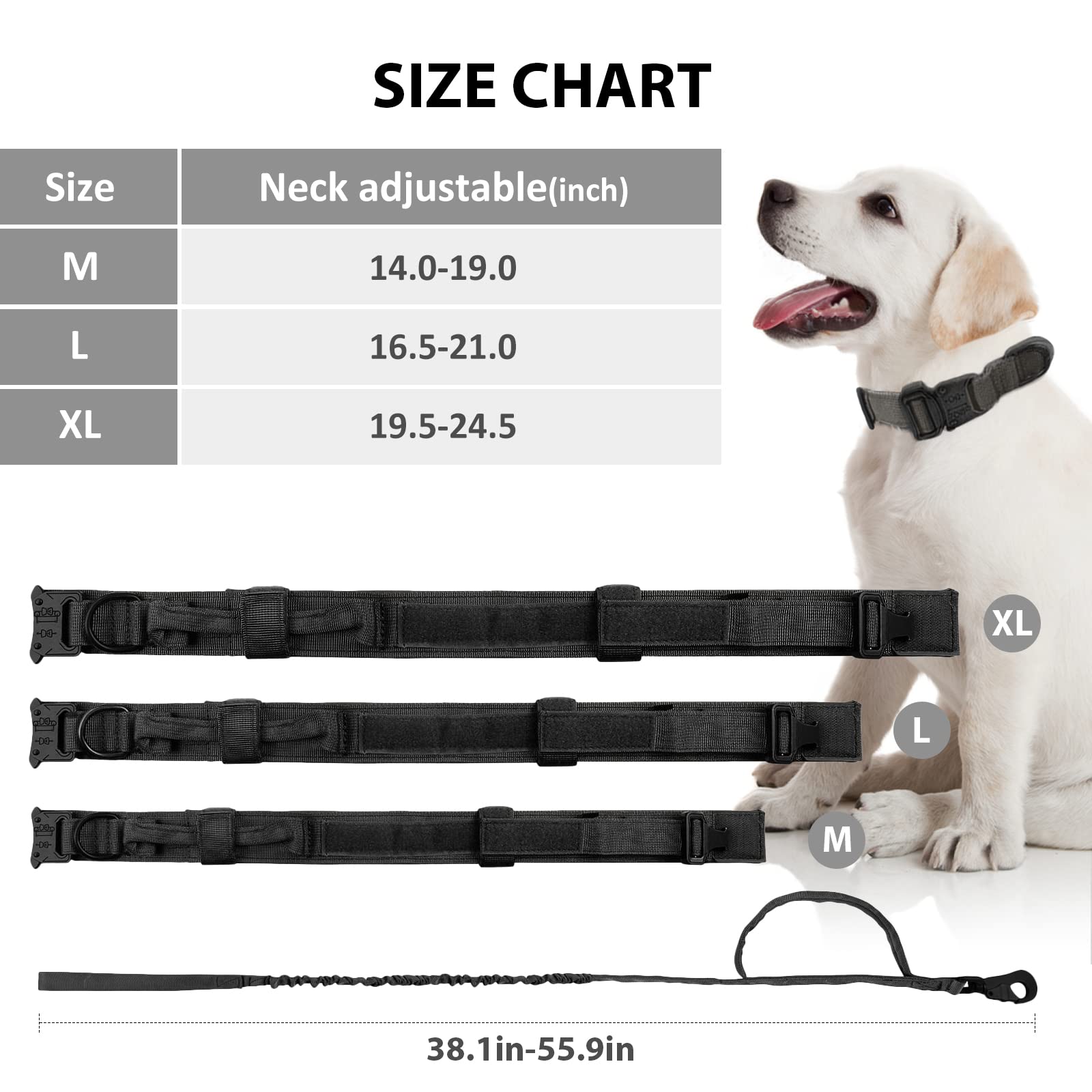 Eitchen Tactical leash extend demonstrates elastic buffer for quick direction changes