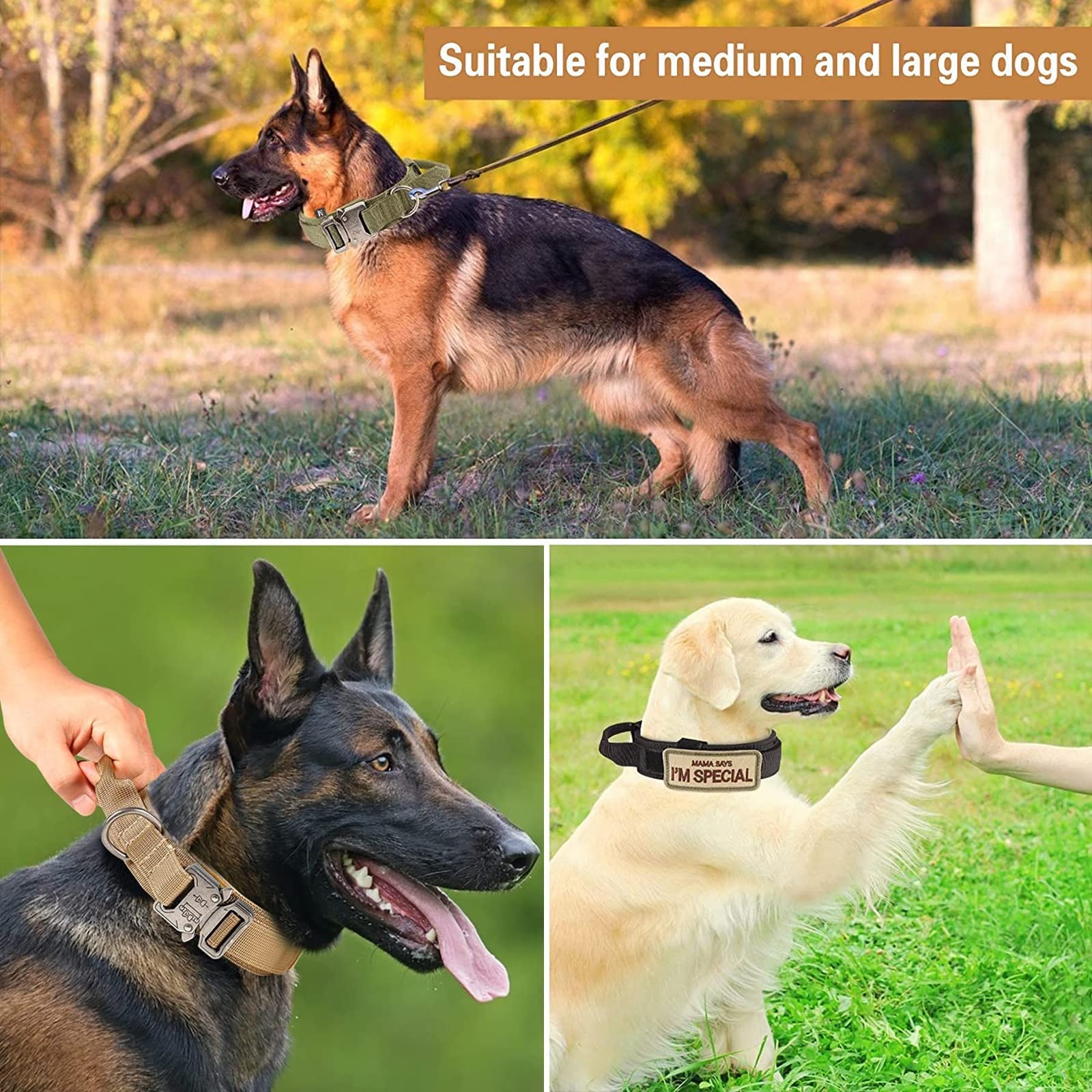 Eitchen Tactical package includes collar and leash for ready-to-use setup