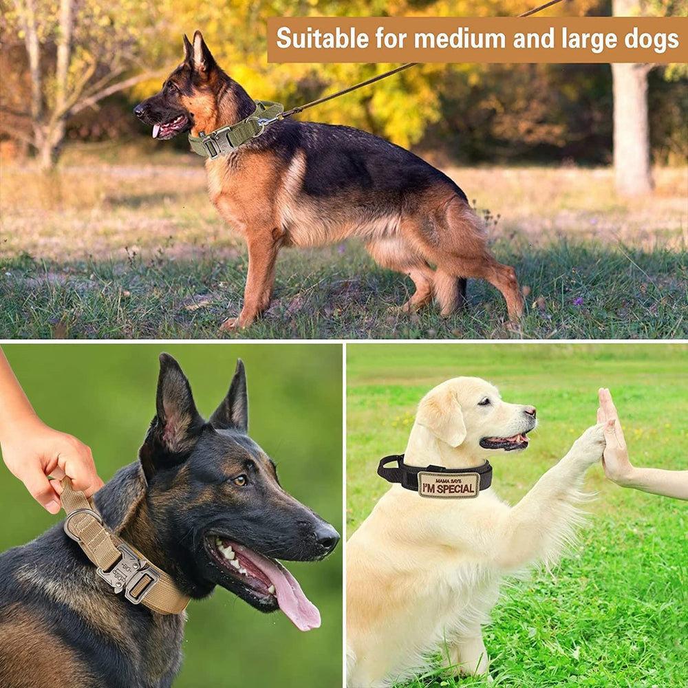 Eitchen Tactical package includes collar and leash for ready-to-use setup