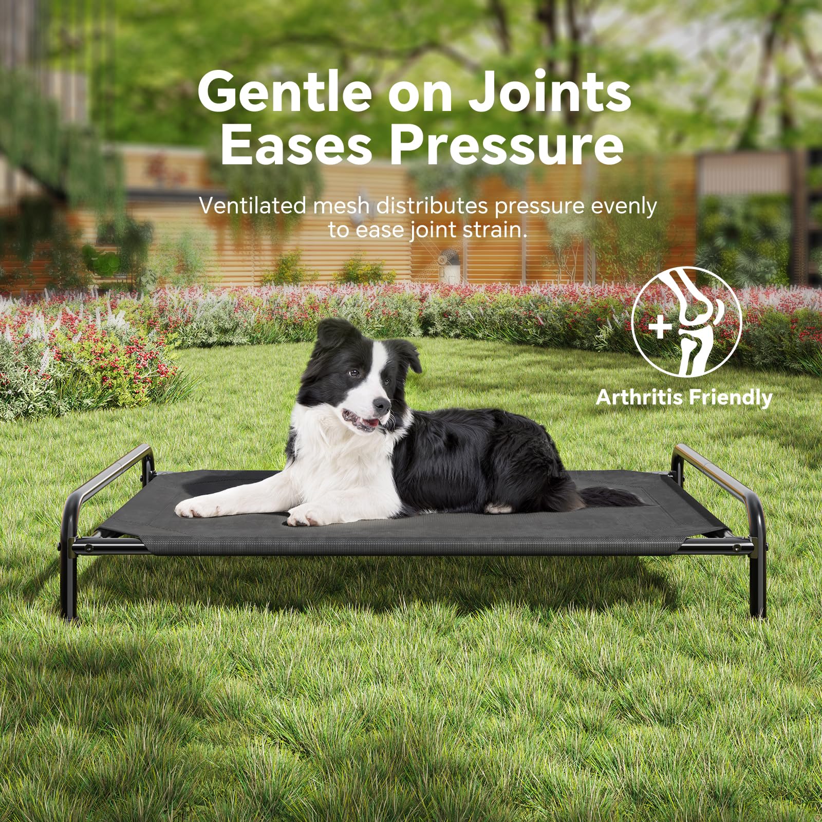 Ekisemio elevated dog bed folded storage for portability