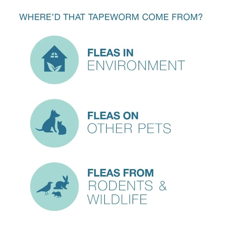 Elanco Tapeworm Dewormer tablets being handed to a cat owner for dosing.