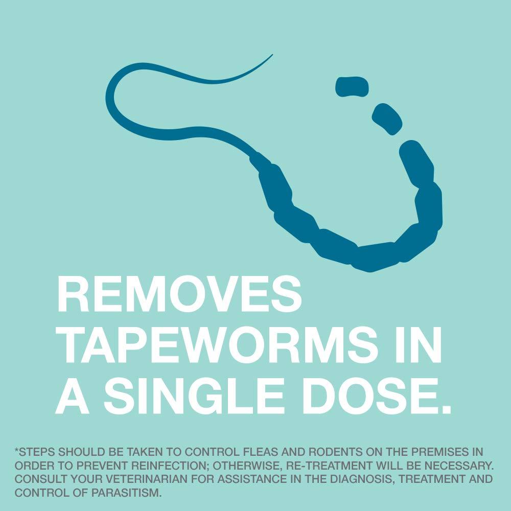 Elanco Tapeworm Dewormer pill ready for straightforward oral dosing.