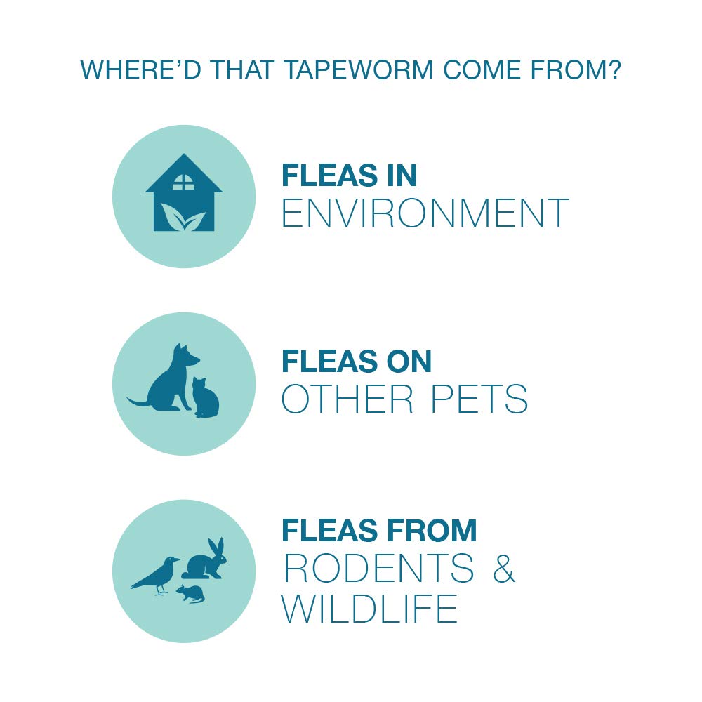 Elanco Tapeworm Dewormer tablets crumble easily into food for easy intake.
