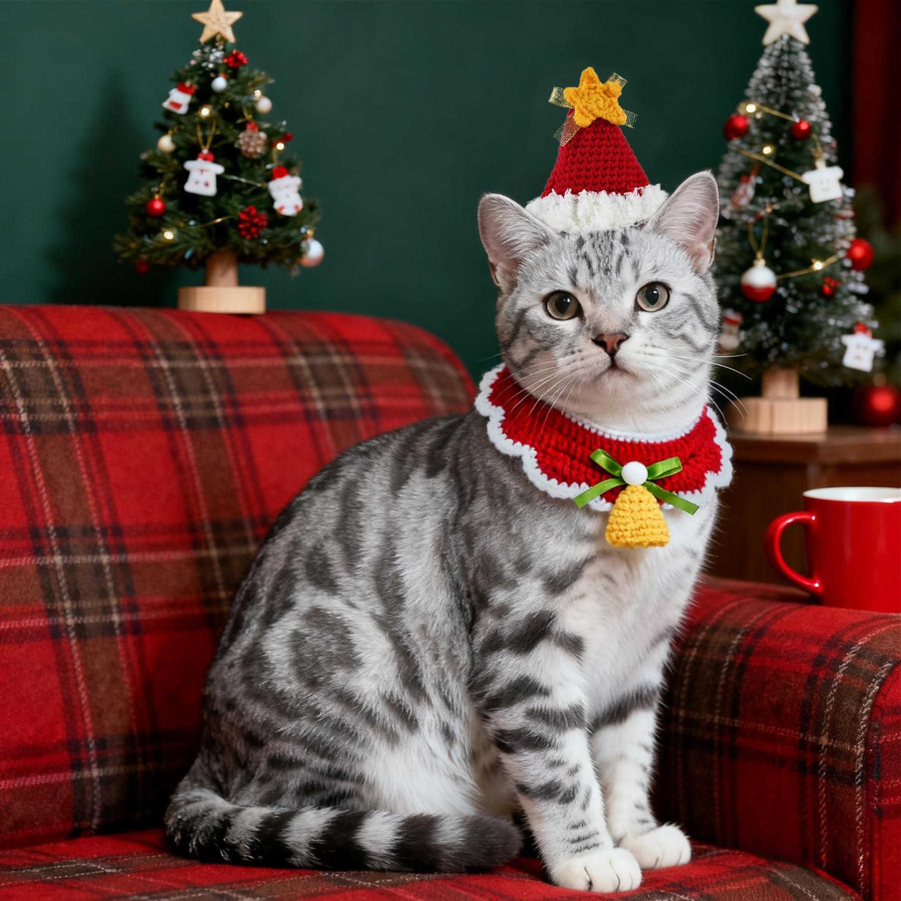 ElasignShopo costume on pet during holiday photo shoot