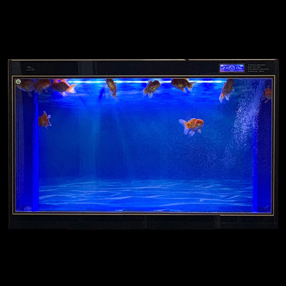 ELEBOX double-sided background offers two color schemes for versatile tank décor.