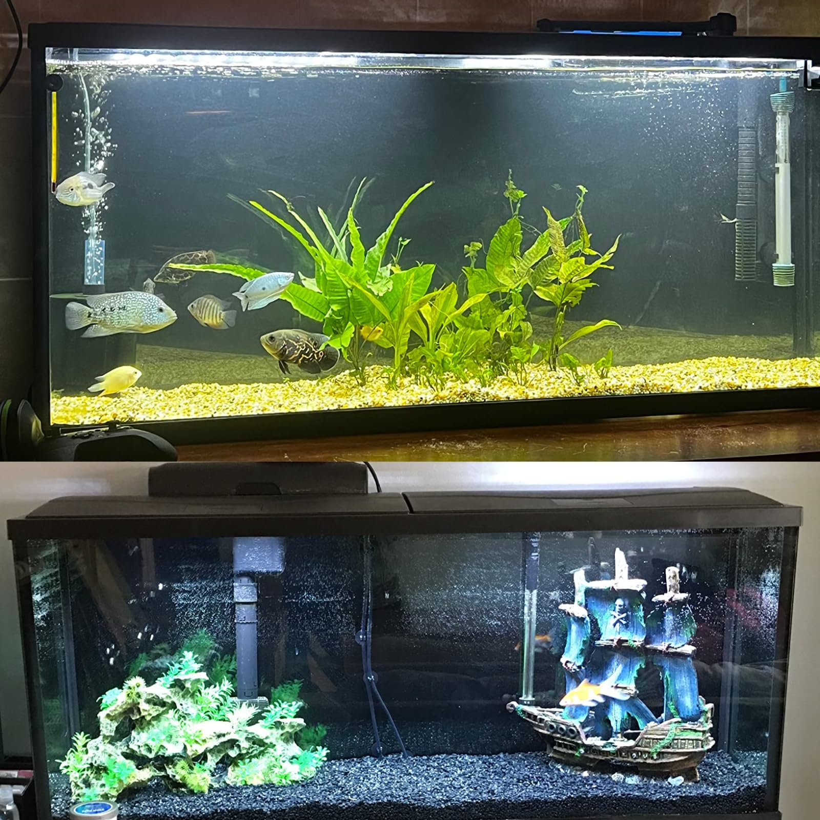 ELEBOX aquarium background dramatic-color-scenes creates immersive ambiance for your aquatic display.