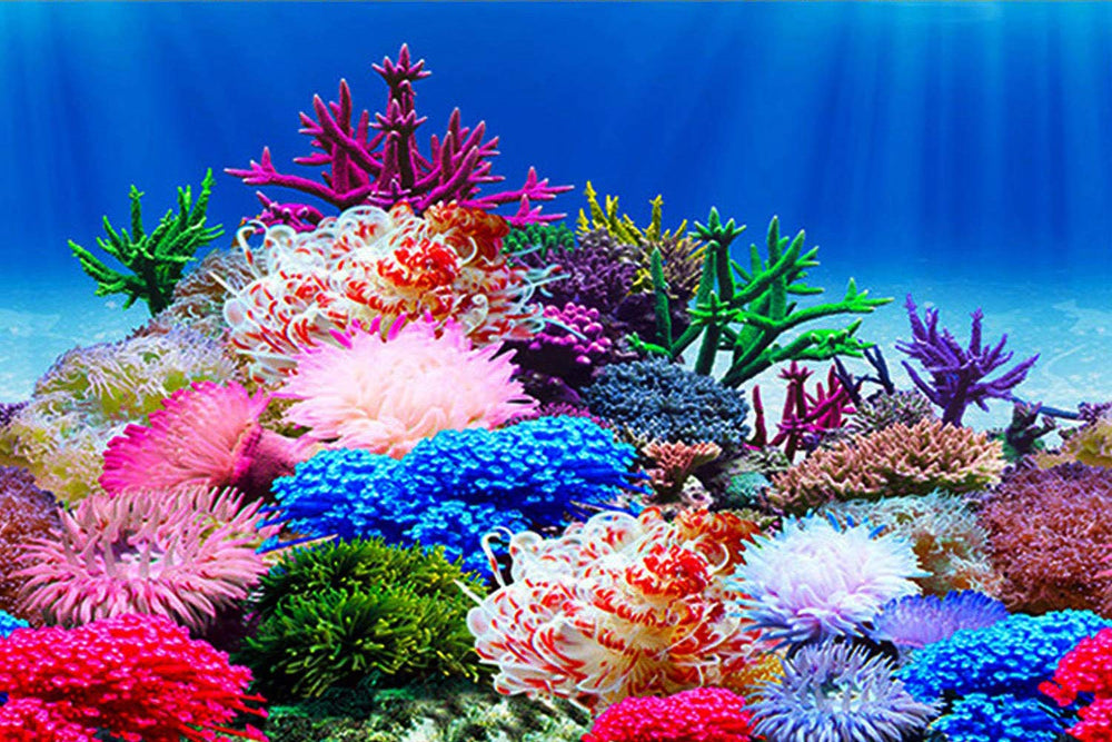 ELEBOX Aquarium Background Poster double-sided undersea scene enhances tank depth while concealing hoses and filters.