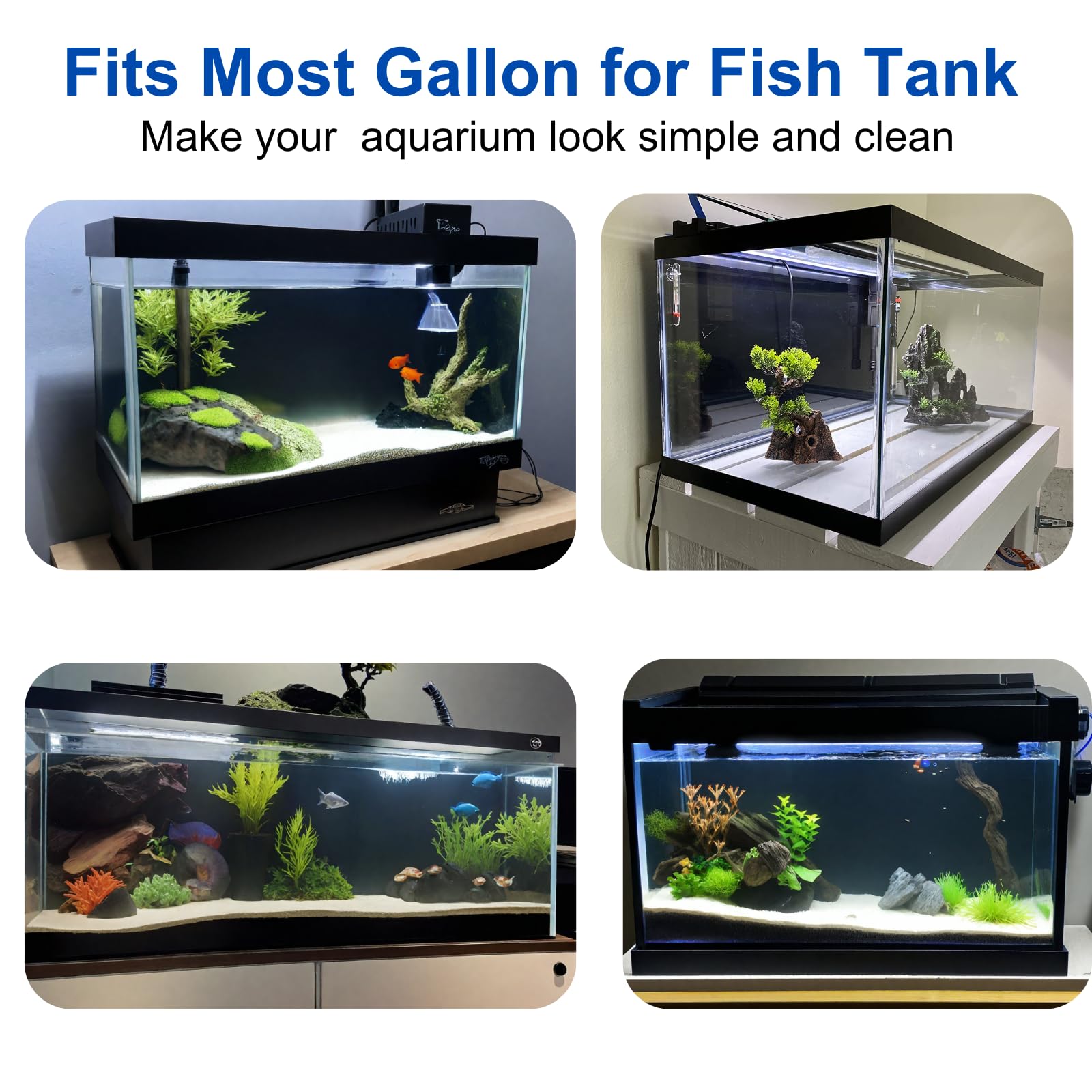 ELEBOX vibrant HD print delivers lifelike aquarium scenery.