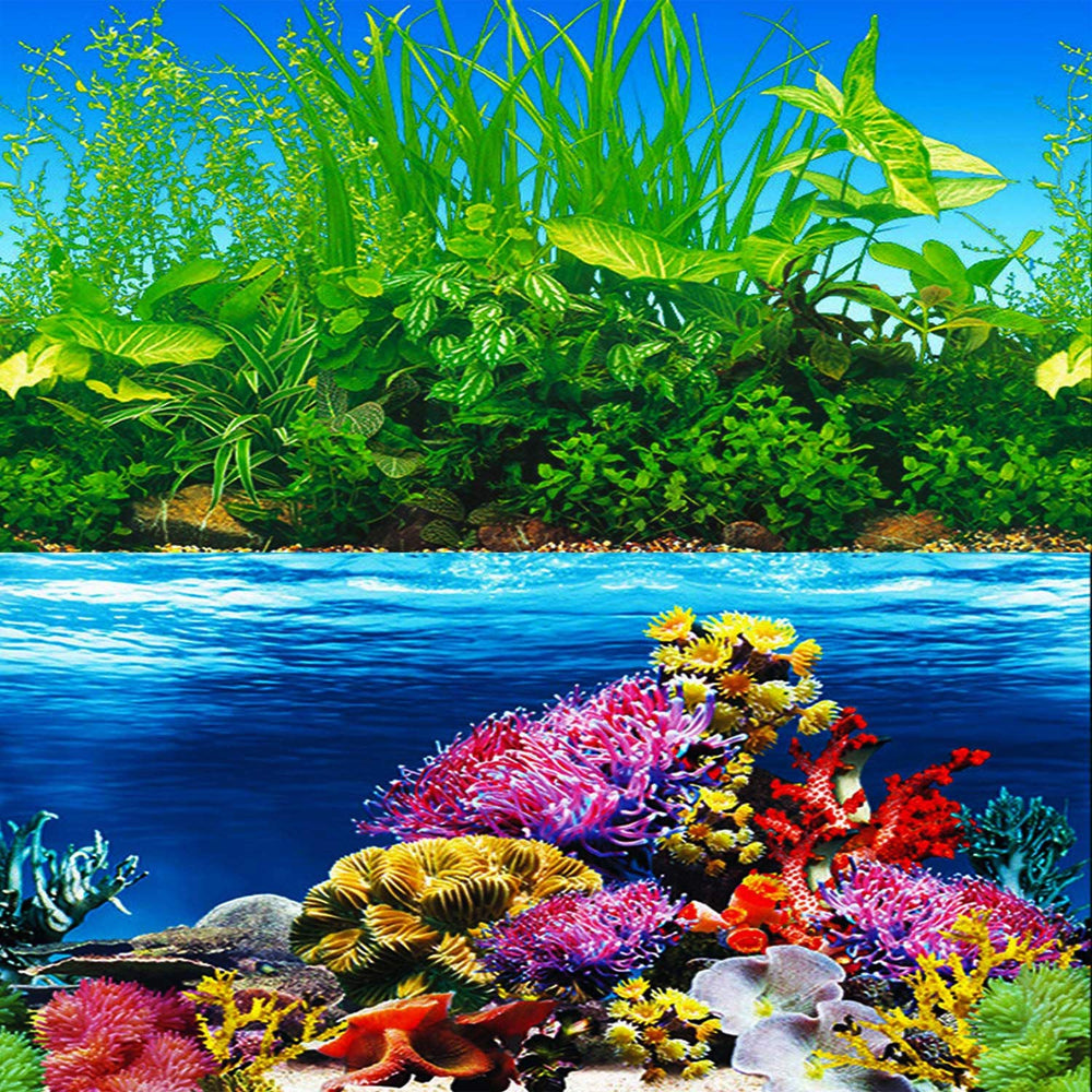 ELEBOX seaweed side-a background creates calm underwater vibe for tanks