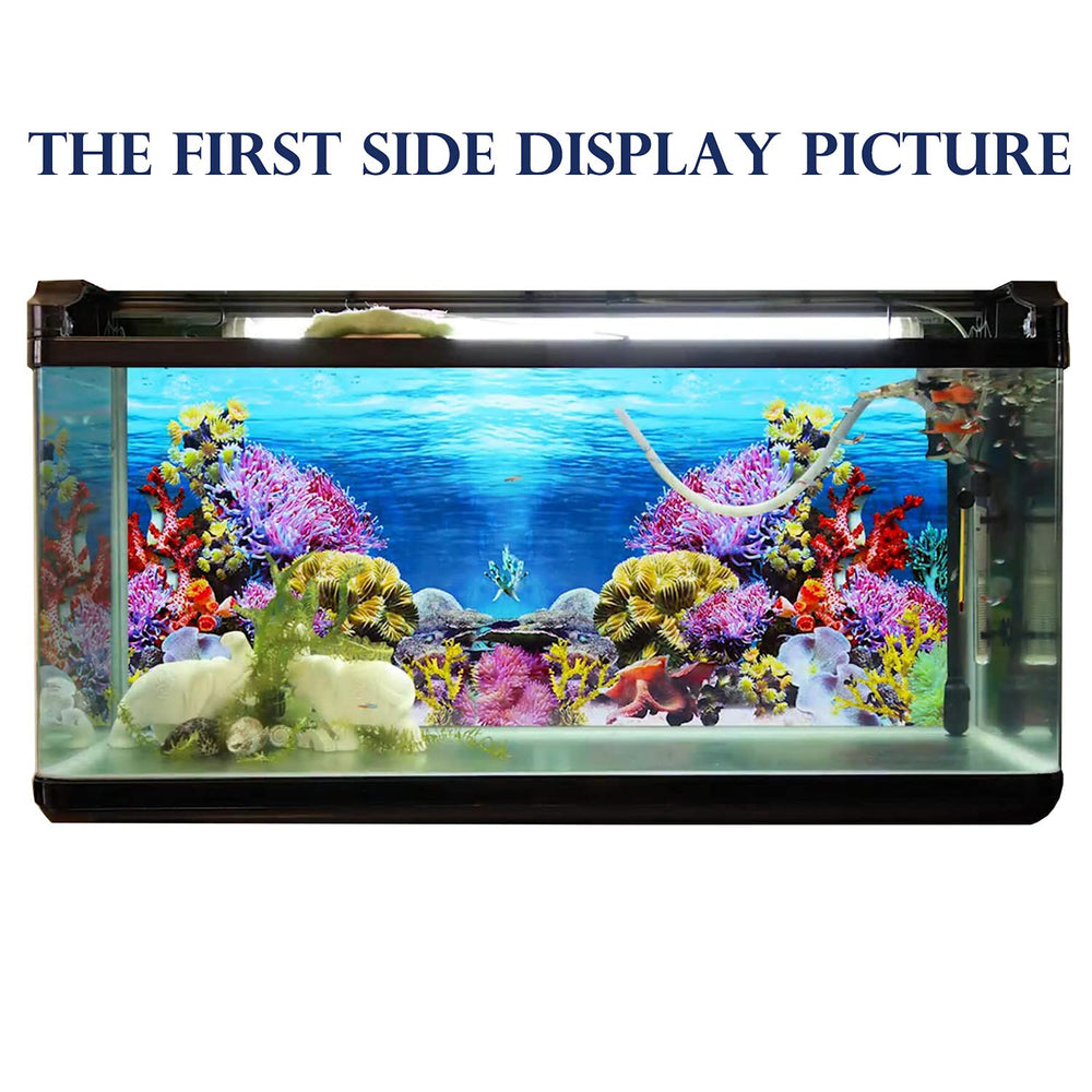 ELEBOX vivid HD aquarium background enhances tank realism and viewing appeal