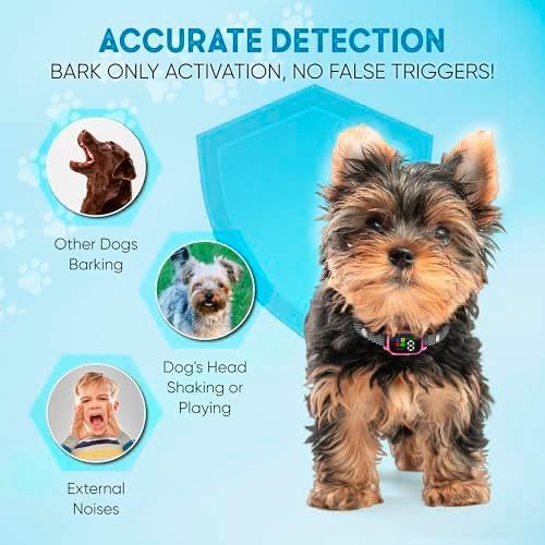 ELECANE-7-sensitivity-levels-controls enables tailored training for small dogs