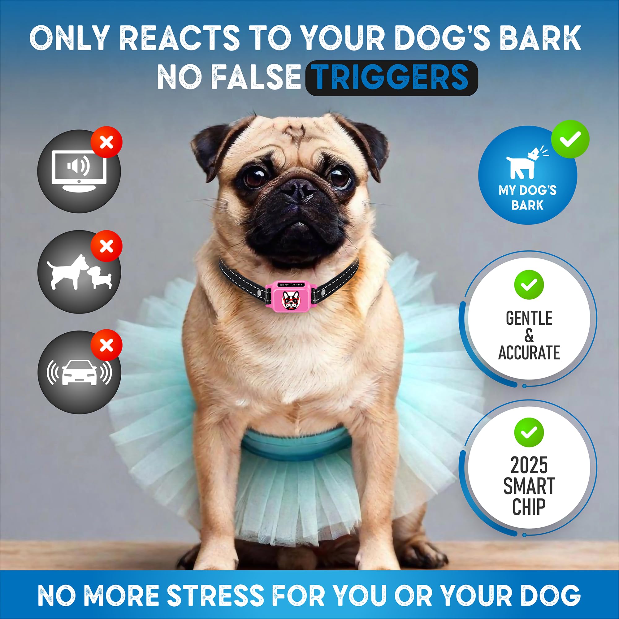 ELECANE bark collar beeps and vibrations modes in action during a walk