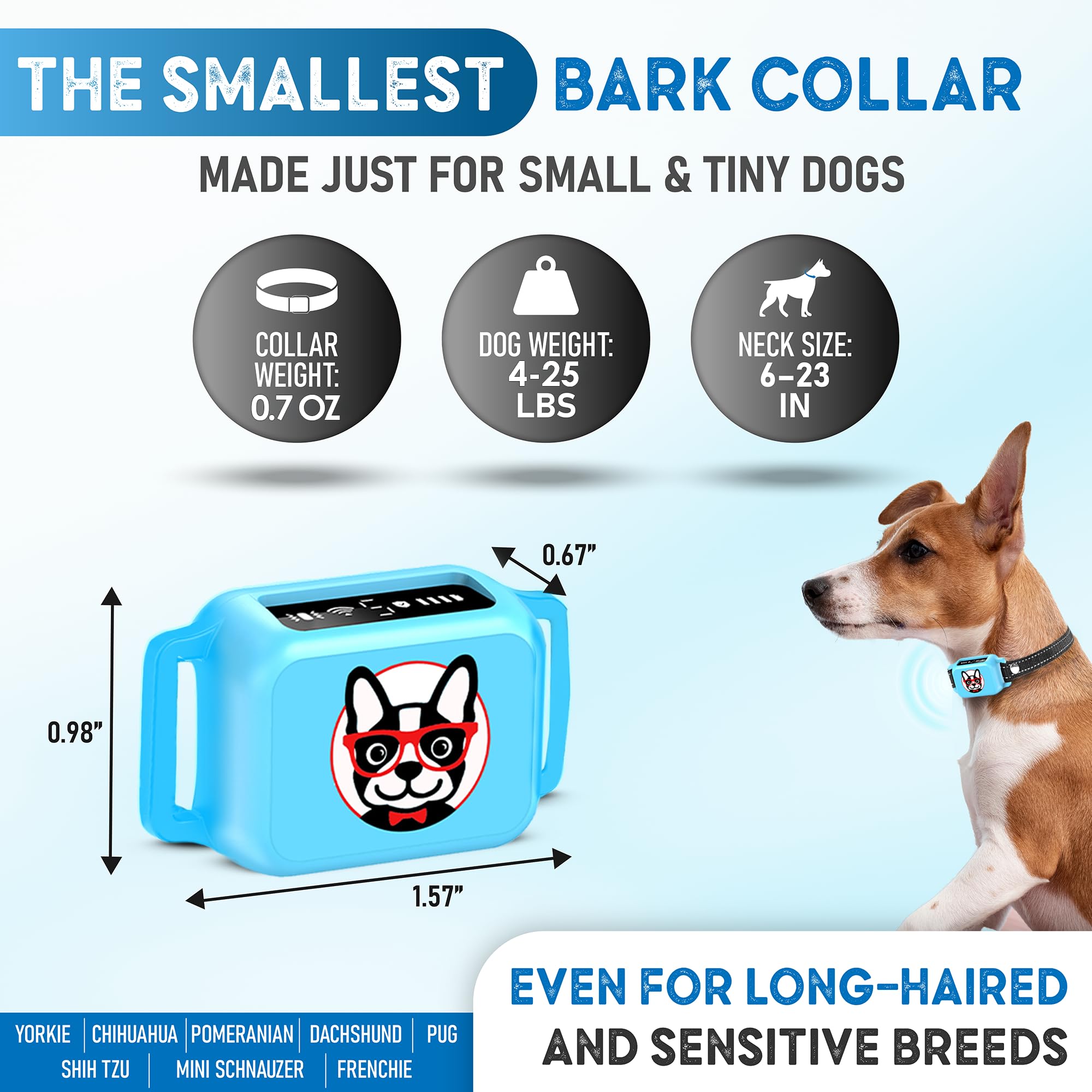 ELECANE Bark Collar blue worn on dog's neck—gentle training during daily walks.
