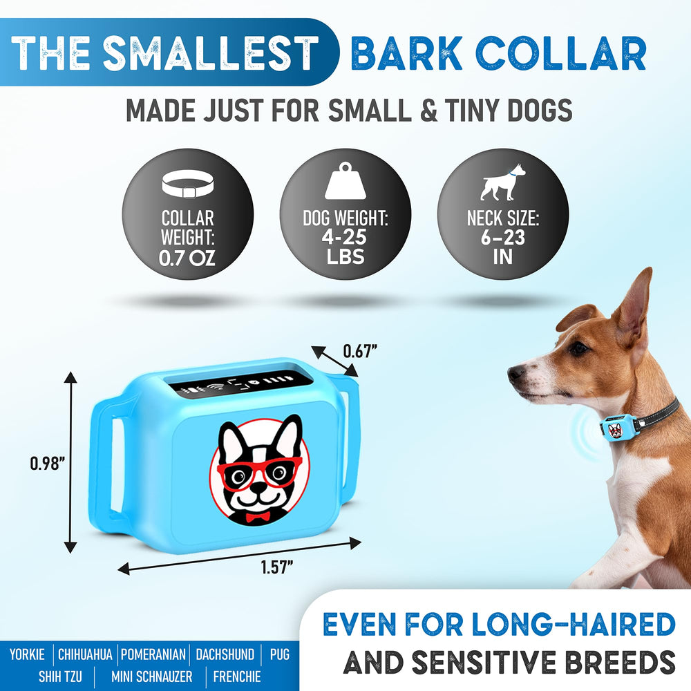 ELECANE Bark Collar blue worn on dog's neck—gentle training during daily walks.