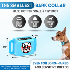 ELECANE Bark Collar blue worn on dog's neck—gentle training during daily walks.