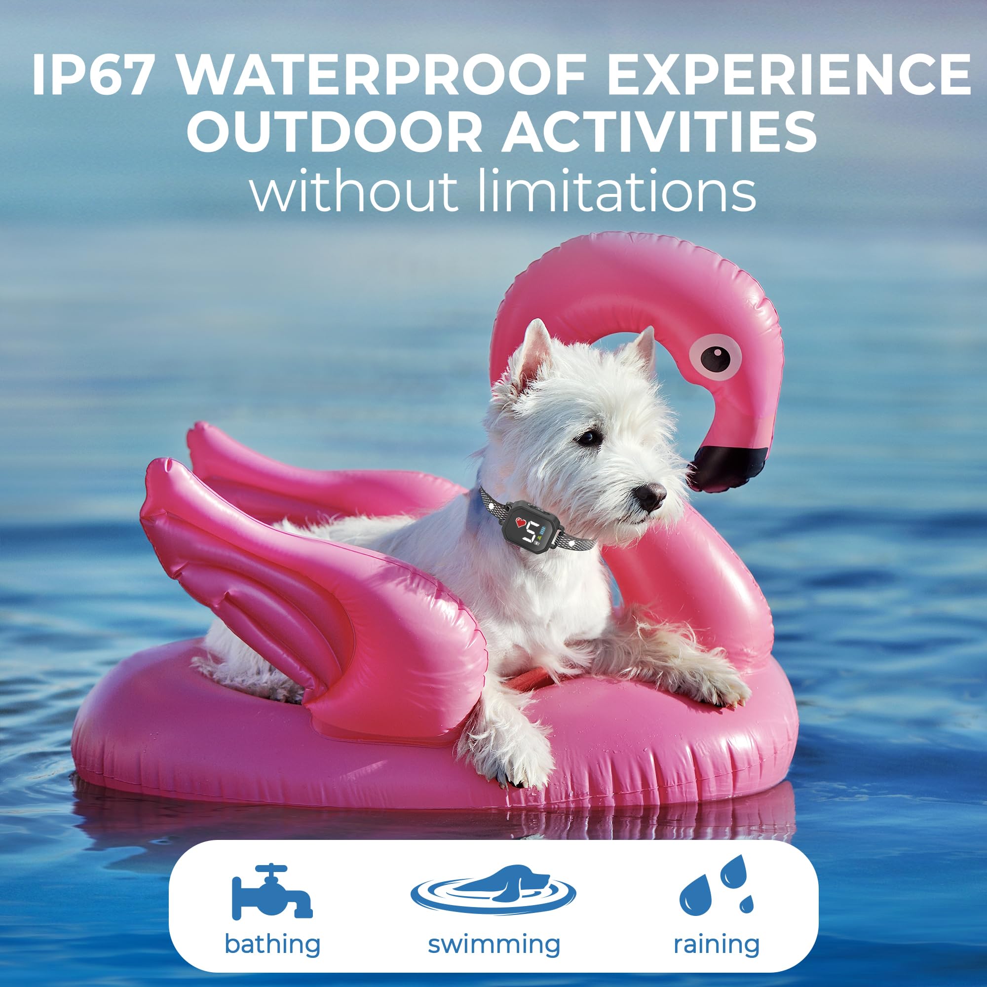 ELECANE bark collar IP67 waterproof for rain, beach, and swimming adventures.