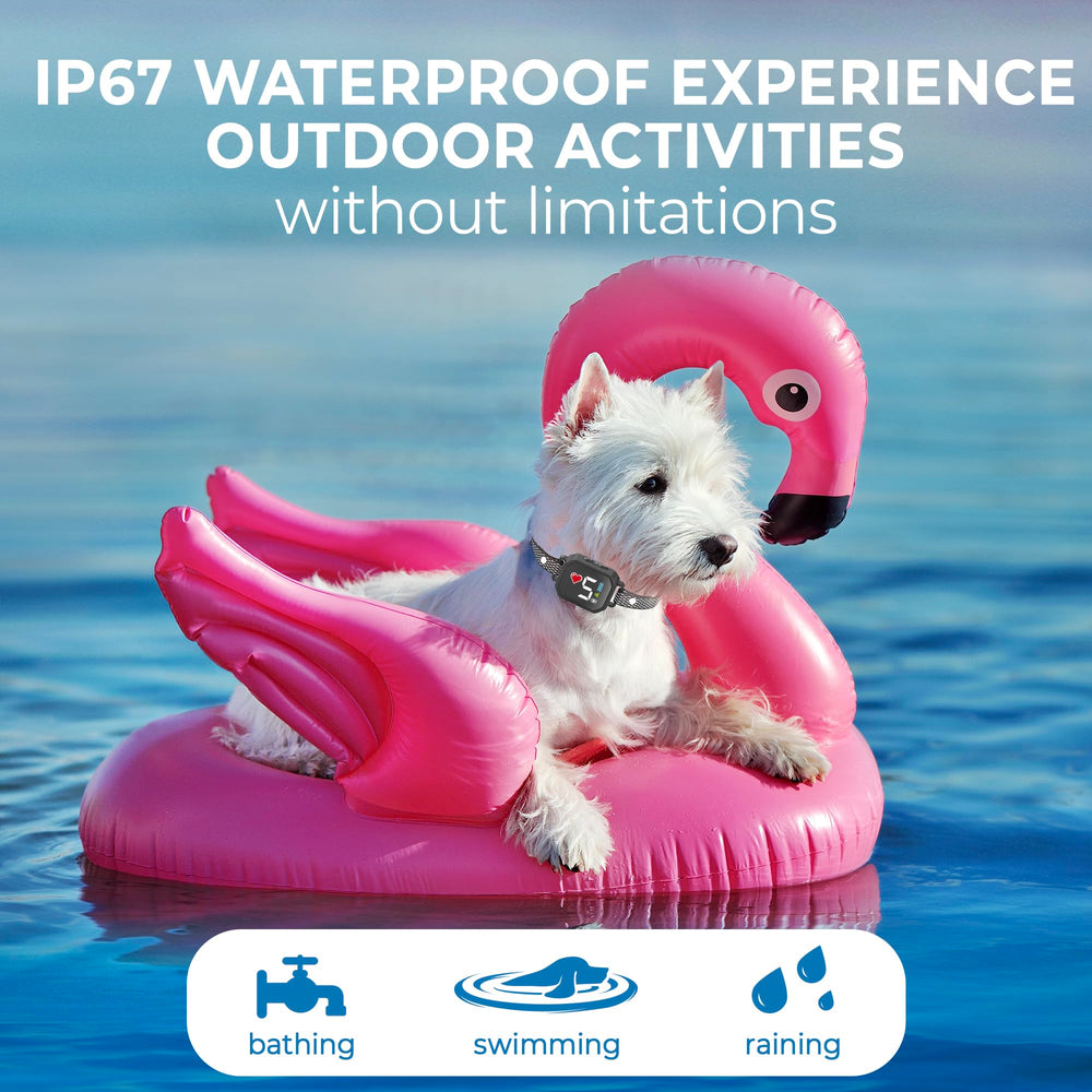 ELECANE bark collar IP67 waterproof for rain, beach, and swimming adventures.