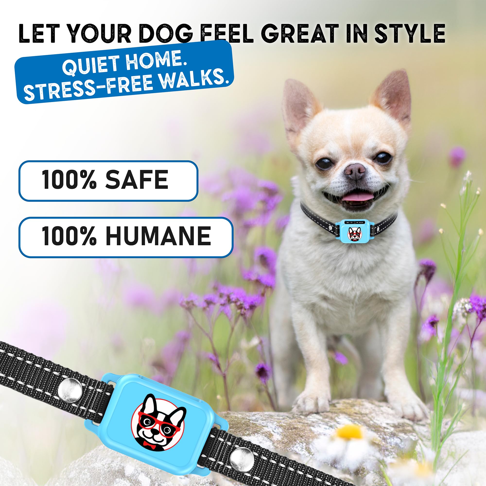 ELECANE blue bark collar during outdoor walk—quiet home, calm paws.