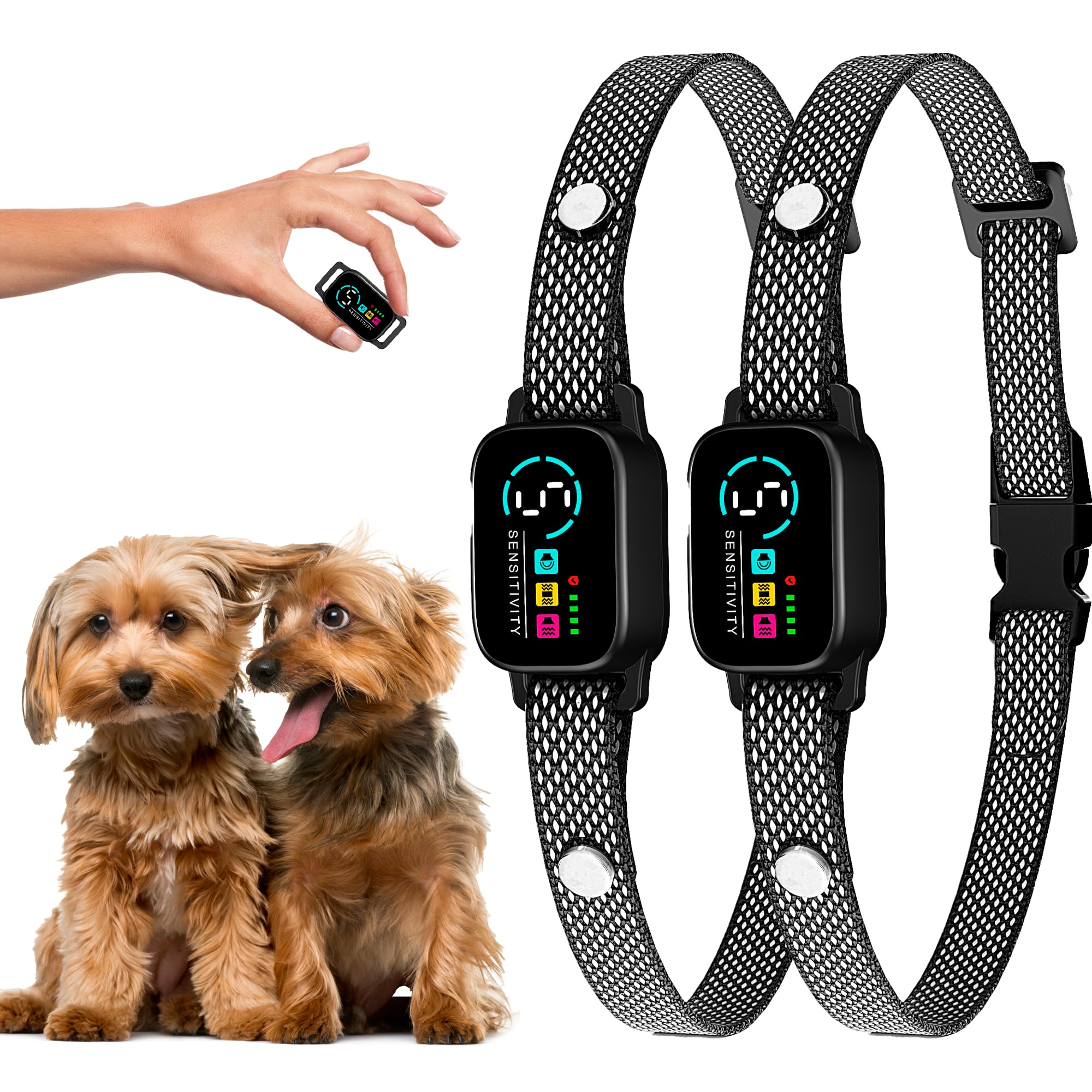 ELECANE bark collar on a small dog neck for comfortable daily training.