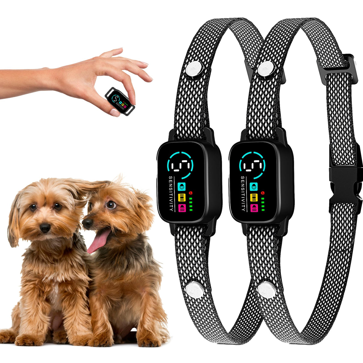 ELECANE bark collar on a small dog neck for comfortable daily training.