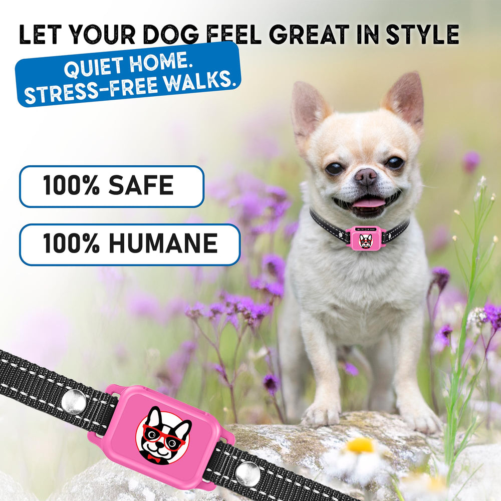ELECANE bark collar training during dog walks and play